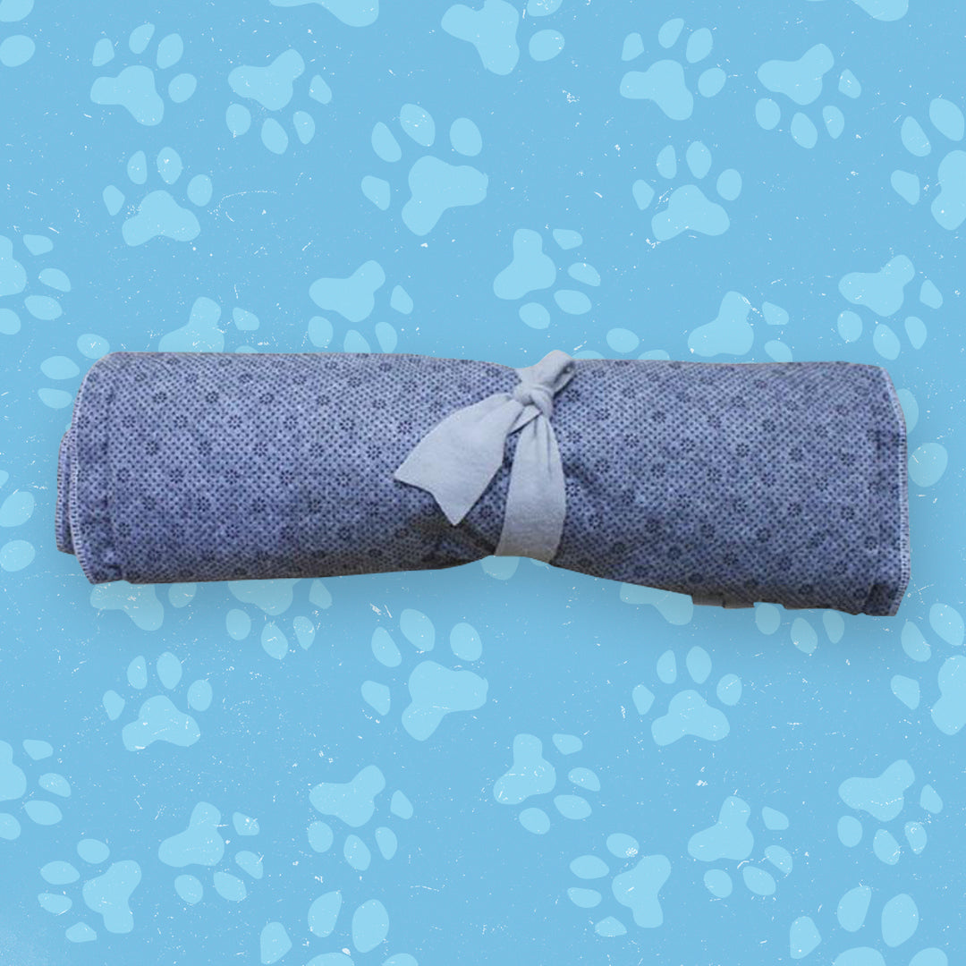 Aktiveringsleksak Snuffelmatta Till Hund